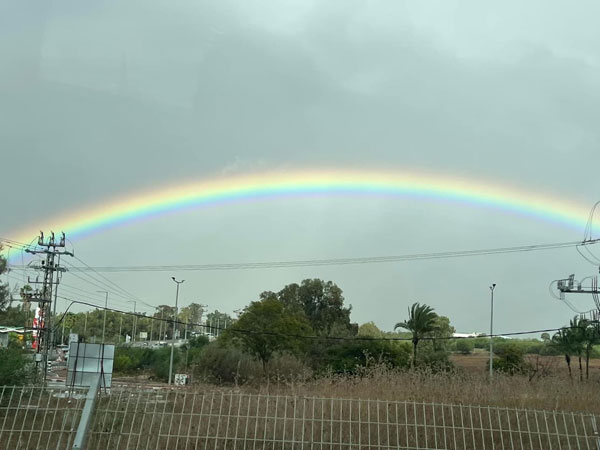 Bearing Witness- Rabbi Jason Nevarez