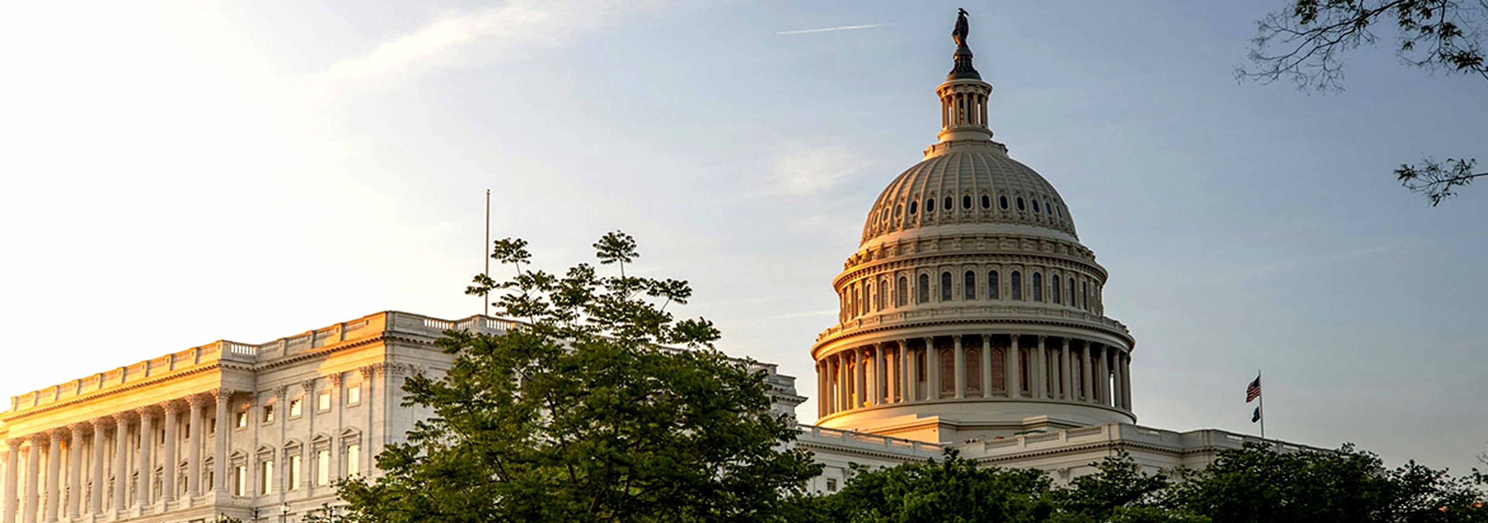 Legislative Advocacy